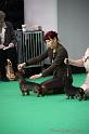 Crufts2011_2 640